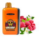 Електронна сигарета Elf Bar GH23000 Jasmine Raspberry (Жасмін Малина)